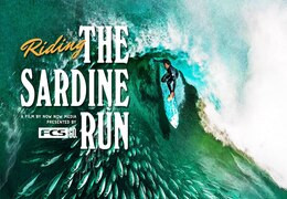 RIDING THE SARDINE RUN : L'AVENTURE ULTIME SUR LA WILD COAST SUD-AFRICAINE